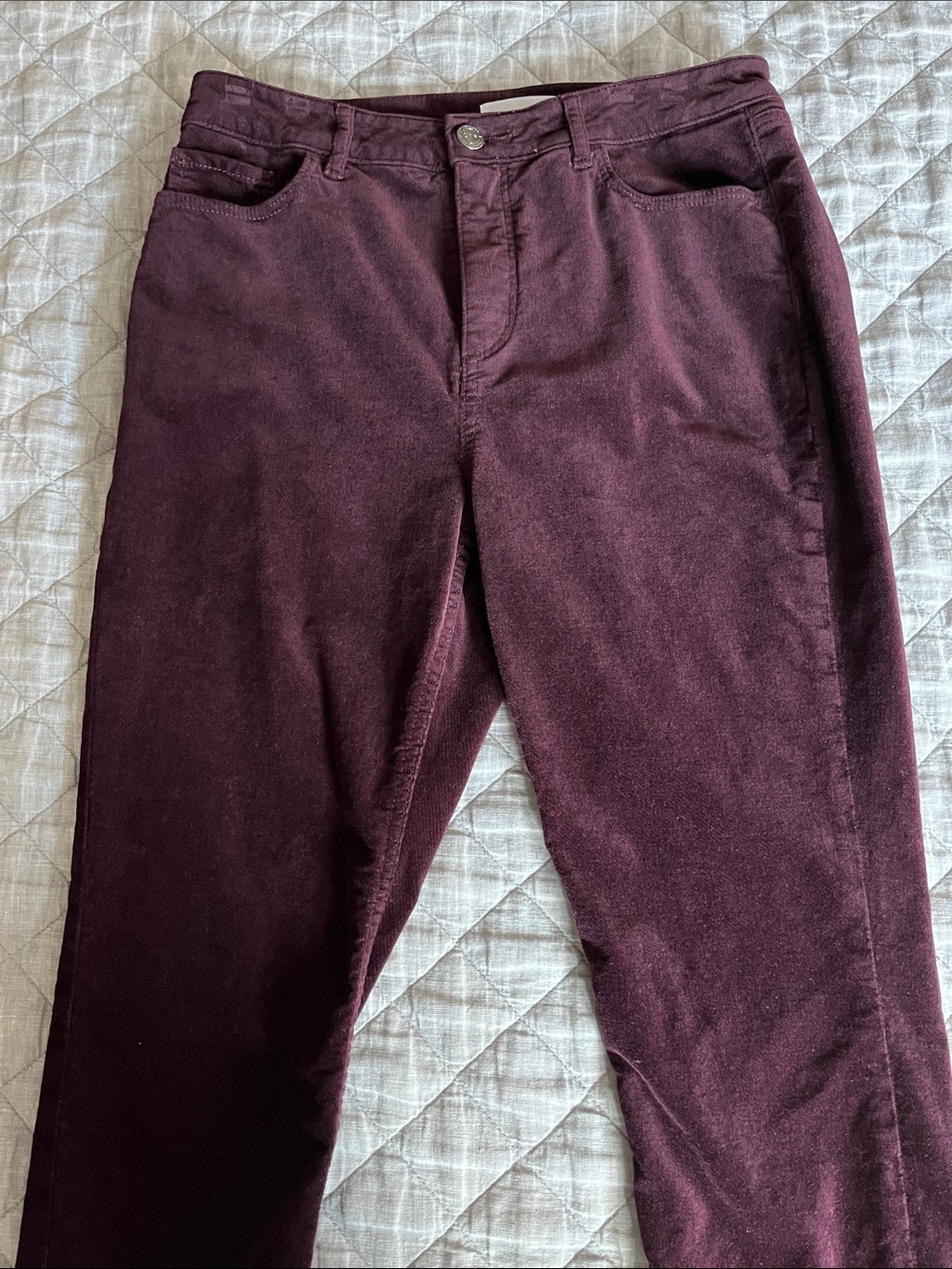 LOFT Women's Cropped Ankle Pants in Deep Plum